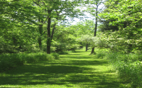 Screenshot 2024-11-06 at 11.31.06 AM